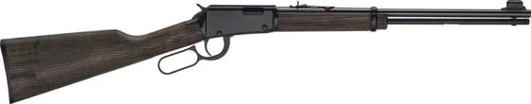 HENRY H1 GARDEN GUN 22LR - 18.5" SMOOTH BORE BLUED WALNUT
